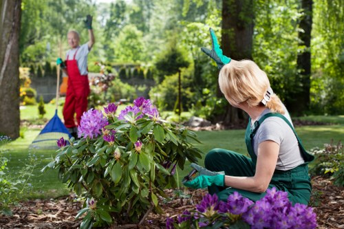 Accessible garden worker consulting with a resident in Westminster