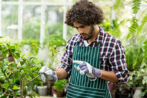 Gardener inspecting a residential garden, close-up of plants and tools
