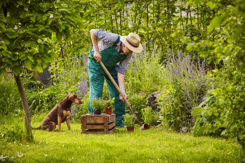 Gardener working on a terraced front garden in Westminster