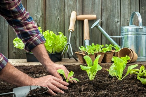 Gardener with certificate of insurance reviewing site