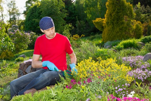 Technician assessing a lawn and planting bed during a complaint inspection