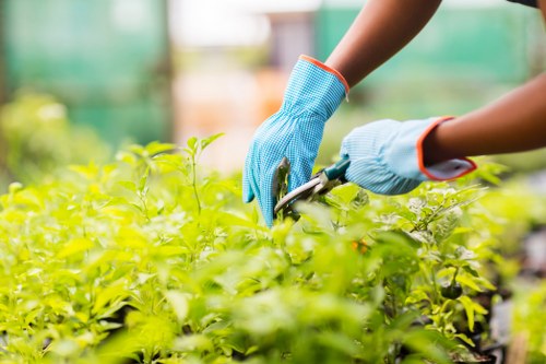 Eco-friendly garden practices in Westminster with composting and sustainable landscaping