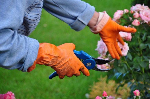 Seasonal garden maintenance activities in Westminster with vibrant flora